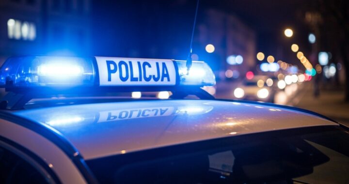 kolejna-osoba-skuszona-szybkim-zyskiem-straci--a-s-auto-308