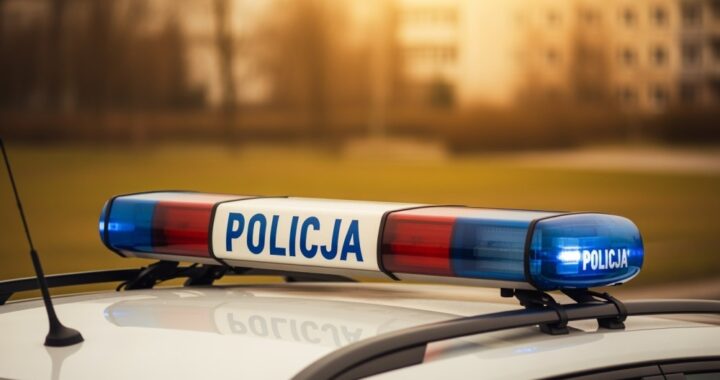 policjanci-i-stra--acy-oddali-ho--d-poleg--emu-fun-auto-6623